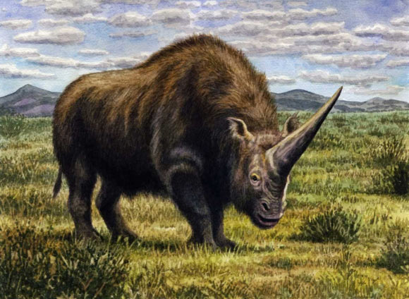 An artist’s impression of Elasmotherium sp. Image credit: W. S. Van der Merwe, www.deviantart.com/willemsvdmerw.