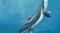 An artistic reconstruction of a mother and calf of Maiabalaena nesbittae nursing offshore of Oregon during the Oligocene, about 33 million years ago. Image credit: Alex Boersma, www.alexboersma.com.