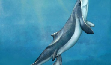An artistic reconstruction of a mother and calf of Maiabalaena nesbittae nursing offshore of Oregon during the Oligocene, about 33 million years ago. Image credit: Alex Boersma, www.alexboersma.com.