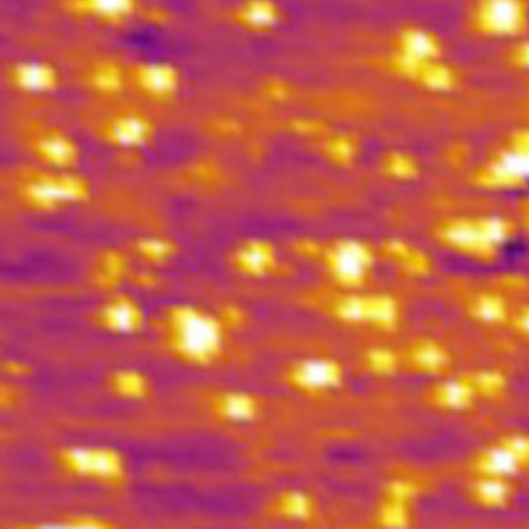 An atomic force microscopy image showing the interaction behavior of genomic DNA with the gold surface. Image credit: Sina et al, doi: 10.1038/s41467-018-07214-w.