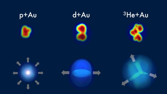 If collisions between small projectiles -- protons (p), deuterons (d), and helium-3 nuclei (3He) -- and gold nuclei (Au) create tiny hot spots of quark-gluon plasma, the pattern of particles picked up by the detector should retain some ‘memory’ of each projectile’s initial shape. Measurements from the PHENIX experiment match these predictions with very strong correlations between the initial geometry and the final flow patterns. Image credit: Javier Orjuela Koop, University of Colorado, Boulder.