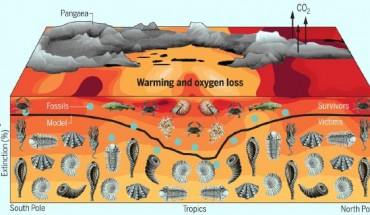 Schematic illustration of temperature-dependent hypoxia as a driver of the end-Permian marine mass extinction. Greenhouse gas forcing in a model of Earth’s climate at the end of the Permian drives ocean warming (contours) and oxygen loss that match geochemical proxy data. Ocean warming raises the organismal oxygen demand amid declining supply. The resulting loss of aerobic habitat for diverse physiologies induces a mass extinction in model animal types (line) whose geographic signature -- increased severity outside of the tropics -- is consistent with reconstructions from the marine fossil record (circles). Image credit: J. Penn / C. Deutsch / E. Haeckel / W. Kaveney / H. Fjeld / J. White.