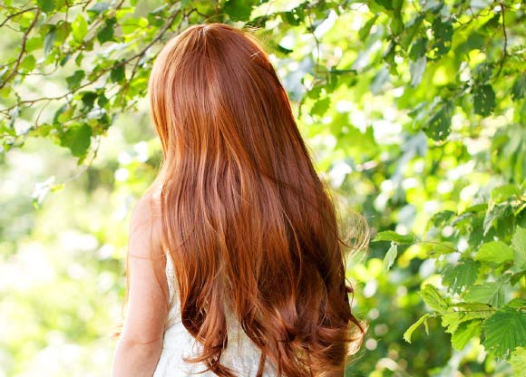 Morgan et al discovered eight new genes linked to red hair. Image credit: Pezibear.