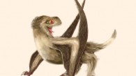 Reconstruction of one of the studied Yanliao Biota pterosaurs, with four different feather types over its head, neck, body, and wings, and a generally ginger-brown color. Image credit: Yuan Zhang.