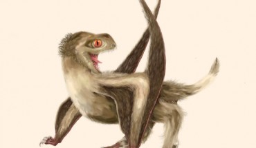 Reconstruction of one of the studied Yanliao Biota pterosaurs, with four different feather types over its head, neck, body, and wings, and a generally ginger-brown color. Image credit: Yuan Zhang.