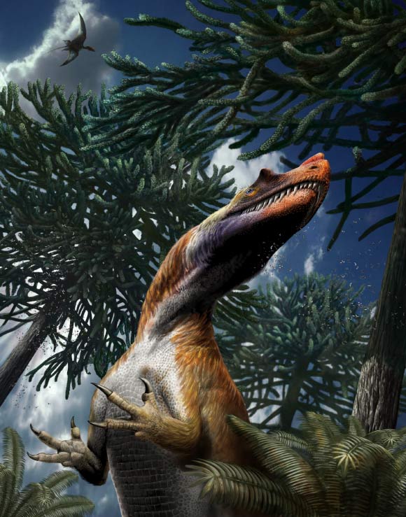 Life reconstruction of Saltriovenator zanellai. Image credit: Davide Bonadonna.