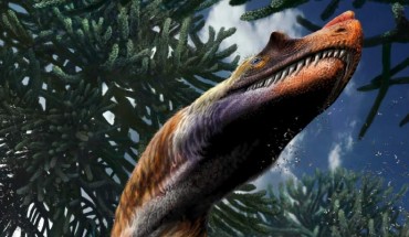 Life reconstruction of Saltriovenator zanellai. Image credit: Davide Bonadonna.