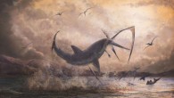 Life reconstruction of a c. 8.2 foot (2.5 m) long breaching Cretoxyrhina mantelli biting the neck of a 16.4 foot (5 m) wingspan Pteranodon longiceps. The predatory behavior of this scene is speculative with respect to the data offered by the 80-million-year-old specimen, but reflects the fact that Cretoxyrhina is generally considered a predatory species, the vast weight advantage of the shark against the pterosaur, and the juvenile impulse of the artist to draw an explosive predatory scene. Image credit: Mark Witton.