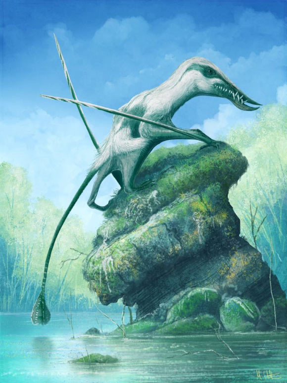 Klobiodon rochei. Image credit: Mark Witton.