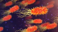 ISS bacteria are just trying to survive. Image credit: Arek Socha.