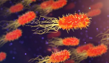 ISS bacteria are just trying to survive. Image credit: Arek Socha.