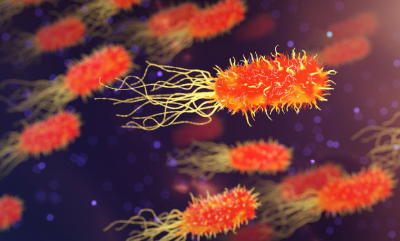 Sadoon et al studied the antimicrobial effect of silver ions at the nanoscale on the diffusive dynamics of histone-like nucleoid-structuring proteins in live Escherichia coli bacteria using single-particle-tracking photoactivated localization microscopy. Image credit: Arek Socha.
