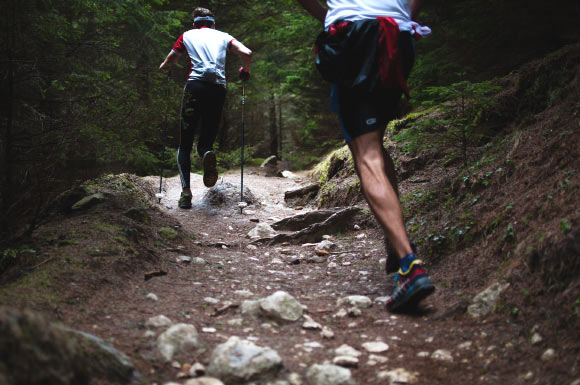 Irisin is produced by muscles during exercise. Image credit: Free-Photos.