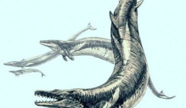 An artist’s impression of Basilosaurus isis. Image credit: Pavel Riha / CC BY-SA 3.0.