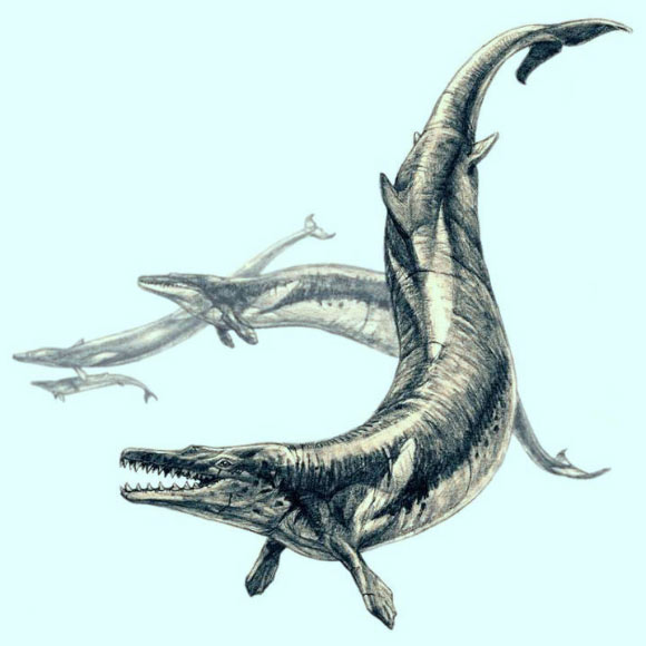 An artist’s impression of Basilosaurus isis. Image credit: Pavel Riha / CC BY-SA 3.0.