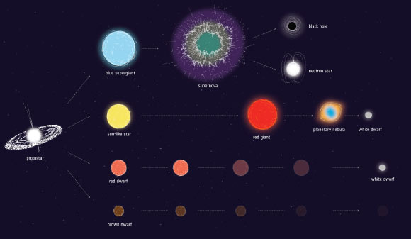 An artist’s impression of some possible evolutionary pathways for stars of different initial masses. Some proto-stars, brown dwarfs, never actually get hot enough to ignite into fully-fledged stars, and simply cool off and fade away. Red dwarfs, the most common type of star, keep burning until they have transformed all their hydrogen into helium, turning into a white dwarf. Sun-like stars swell into red giants before puffing away their outer shells into colorful nebula while their cores collapse into a white dwarf. The most massive stars collapse abruptly once they have burned through their fuel, triggering a supernova explosion or gamma-ray burst, and leaving behind a neutron star or black hole. Image credit: ESA.