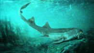 An illustration showing what Galagadon nordquistae would have looked like in life, swimming along the river floor. Image credit: Velizar Simeonovski, Field Museum.