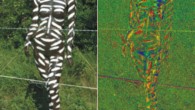 Reflection-polarization characteristics of the sunlit sticky white-striped brown human model. Image credit: Horvath et al, doi: 10.1098/rsos.181325.