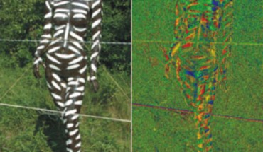 Reflection-polarization characteristics of the sunlit sticky white-striped brown human model. Image credit: Horvath et al, doi: 10.1098/rsos.181325.