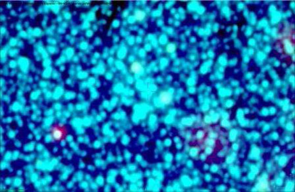 Camargo 1108. Image credit: D. Camargo & D. Minniti, doi: 10.1093/mnrasl/slz010.