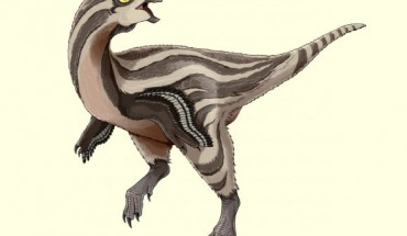 Gobiraptor minutus. Image credit: Do Yoon Kim.