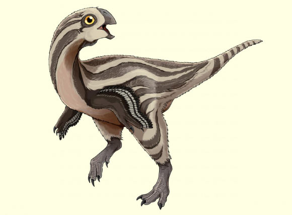 Gobiraptor minutus. Image credit: Do Yoon Kim.