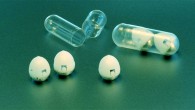 Abramson et al developed a drug capsule that could be used to deliver oral doses of insulin. Image credit: Felice Frankel.