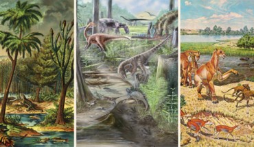 Reconstructions of land vertebrate communities through the Phanerozoic. Image credit: University of Birmingham.