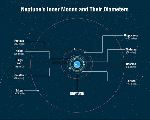 This diagram shows the orbital positions of Neptune’s inner moons, which range in size from 20 to 260 miles across. The outer moon Triton was captured from the Kuiper Belt many billions of years ago. This would have torn up Neptune’s original satellite system. Triton settled into a circular orbit and the debris from shattered moons re-coalesced into a second generation of inner satellites seen today. However, comet bombardment continued to tear things up, leading to the birth of Hippocamp, which is a broken-off piece of Proteus. Therefore, it is a third-generation satellite. Not shown is Neptune’s outermost known satellite, Nereid, which is in a highly eccentric orbit, and may be a survivor from the era of that Triton capture. Image credit: NASA / ESA / A. Feild, STScI.