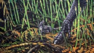 Unnuakomys hutchisoni. Image credit: James Havens.