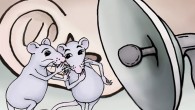 Mice and rats have a rich repertoire of around 20 kinds of calls. Image credit: Alice Gray.