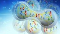 Schmookler et al develop a universal function that suggests that proton-neutron pairs in the nucleus, shown here, may be responsible for the EMC effect. Image credit: DOE’s Jefferson Lab.