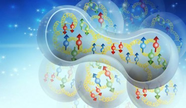 Schmookler et al develop a universal function that suggests that proton-neutron pairs in the nucleus, shown here, may be responsible for the EMC effect. Image credit: DOE’s Jefferson Lab.