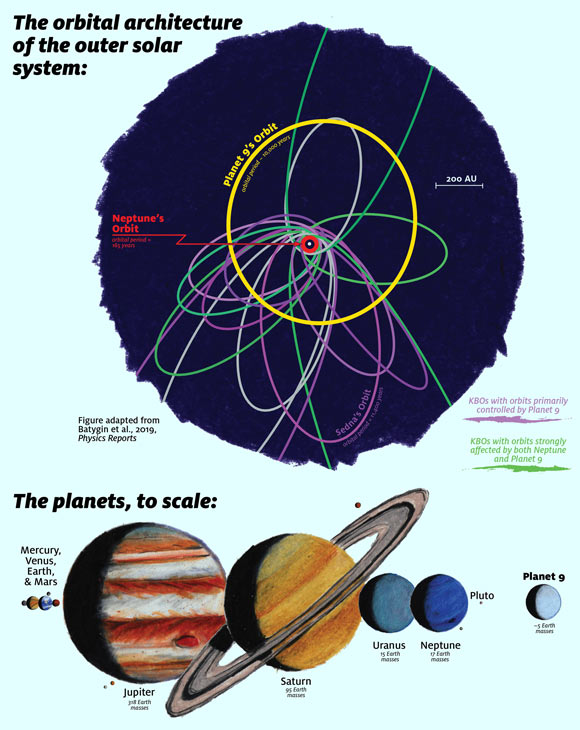 Orbits of the distant Kuiper Belt and Planet Nine: orbits rendered in purple are primarily controlled by Planet Nine’s gravity and exhibit tight orbital clustering; green orbits, on the other hand, are strongly coupled to Neptune, and exhibit a broader orbital dispersion; updated orbital calculations suggest that Planet Nine is a 5 to 10 Earth mass planet that resides on a mildly eccentric orbit with a period of about 10,000 years. Image credit: James Tuttle Keane / Caltech.