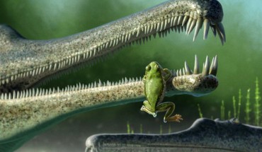 A Chinle frog, inside the jaw of a phitosaur. Image credit: Andrey Atuchin.