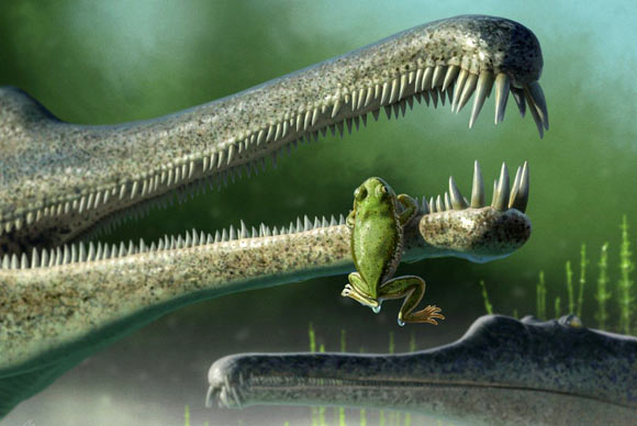A Chinle frog, inside the jaw of a phitosaur. Image credit: Andrey Atuchin.