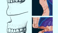 Paleolithic edge-to-edge bite (top) and a modern overbite/overjet bite (bottom) and how ‘f’ sounds are produced in a biomechanical model. Image credit: Timea Bodogan / Scott Moisik.