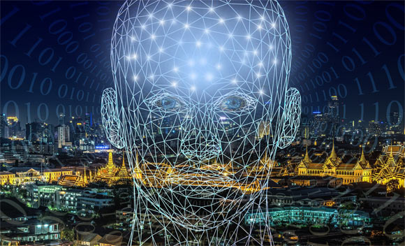 Wang et al report a strong, specific human brain response to ecologically-relevant rotations of Earth-strength magnetic fields. Image credit: Gerd Altmann.