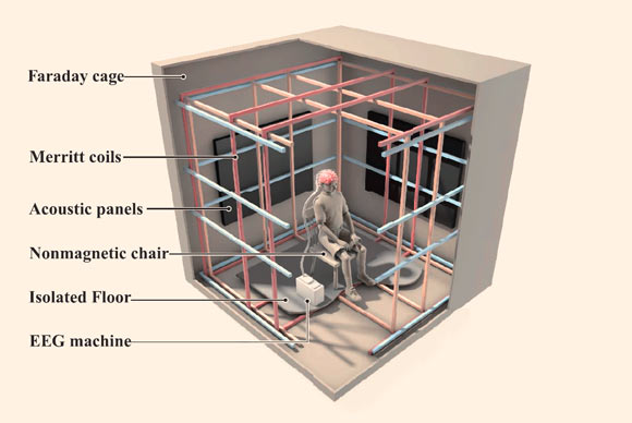 Schematic illustration of the experimental setup: the 1 mm thick aluminum panels of the electrically-grounded Faraday shielding provides an electromagnetically ‘quiet’ environment; three orthogonal sets of square coils about 2 m on edge allow the ambient geomagnetic field to be altered around the participant’s head with high spatial uniformity; double-wrapping provides an active-sham for blinding of experimental conditions; acoustic panels on the wall help reduce external noise from the building air ventilation system as well as internal noise due to echoing; a non-magnetic chair is supported on an elevated wooden base isolated from direct contact with the magnetic coils; the battery-powered EEG is located on a stool behind the participant and communicates with the recording computer via an optical fiber cable to a control room about 20 m away. Image credit: Wang et al, doi: 10.1523/ENEURO.0483-18.2019.