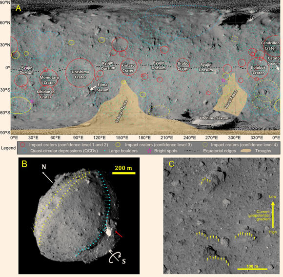 Global map and images of Ryugu: (A) geologic map of Ryugu; impact craters are indicated with circles; (B) an oblique view of Ryugu, showing the circum-equatorial ridge (yellow arrows), trough (blue arrows) extending from the equatorial region through the south polar region to the other side of Ryugu, and the large and bright Otohime Saxum (red arrow) near the south pole; the location of the poles and the spin direction are indicated with white arrows; (C) asymmetric regolith deposits on imbricated flat boulders on the northern slope of the circum-equatorial ridge of Ryugu; small yellow arrows at the edges of regolith deposits indicate the direction of mass wasting; the large yellow arrow indicates the current geopotential gradient from high to low; the direction of geopotential gradient is consistent with the mass wasting. Image credit: Sugita et al, doi: 10.1126/science.aaw0422.
