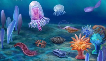 A reconstruction of early Cambrian ocean life in South China. Image credit: Dongjing Fu.