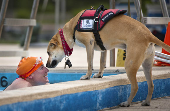 Epileptic patients release a particular smell during a seizure and dogs can be trained to detect it. Image credit: Skeeze.