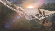 The Chicxulub impact 66 million years ago generated a tsunami-like wave in an inland sea that killed and buried fish, mammals, insects and a Triceratops, the first victims of a cataclysm that led to Earth’s last mass extinction. Image credit: Robert DePalma.
