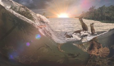 The Chicxulub impact 66 million years ago generated a tsunami-like wave in an inland sea that killed and buried fish, mammals, insects and a Triceratops, the first victims of a cataclysm that led to Earth’s last mass extinction. Image credit: Robert DePalma.