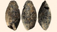 Barley grains from the sites of the Pitted Ware culture. Image credit: Santeri Vanhanen.