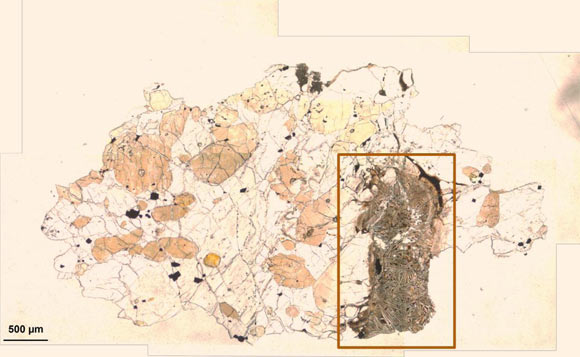 Thin section of ALH-77005 in plane polarized light: the area studied by FTIR spectroscopy is marked by rectangle, where the strong putative microbially mediated alteration was observed. Image credit: Gyollai et al, doi: 10.1515/astro-2019-0002.