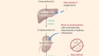 Simplified pathway of vitamin D metabolism with a suggested approach to manage hypervitaminosis D. Key steps include the following: limit sun exposure; stop oral vitamin D supplements; use medications such as corticosteroids, ketoconazole and hydroxychloroquine to block 1α-hydroxylase activity; stop oral calcium supplements to reduce burden of hypercalcemia from hypervitaminosis D. Key enzymes involved in metabolism pathway are shown in green. Image credit: Auguste et al, doi: 10.1503/cmaj.180465 / Creativology / BSG Studio.