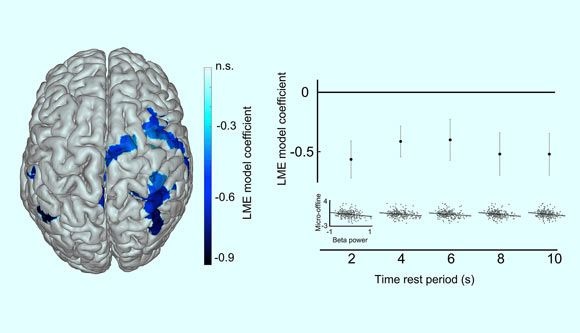 Left: topography of the predominantly contralateral beta oscillatory activity during rest periods predictive of micro-offline learning, indicated by the LME (linear mixed effects) model coefficient. Right: frontoparietal beta activity predicted micro-offline gains throughout the duration of early-learning rest periods. Image credit: Bönstrup et al, doi: 10.1016/j.cub.2019.02.049.
