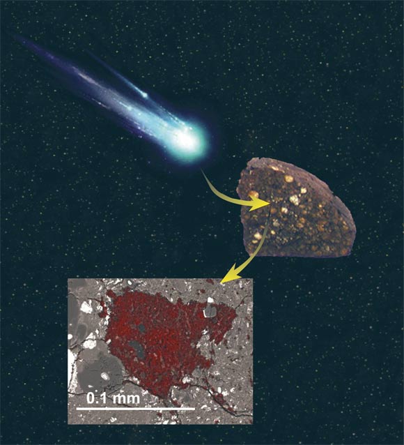 An illustration showing how a sliver of cometary building block material was swallowed by an asteroid and preserved inside a meteorite. Image credit: Larry Nittler / NASA.