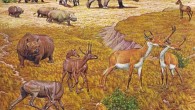 An artist’s interpretation of ancient North American fauna. The new study revealed that elephant-like gomphotheres, rhinos, horses and antelopes with slingshot-shaped horns were among the species recovered near Beeville, Texas, by Great Depression-era fossil hunters. Image credit: Jay Matternes / Smithsonian Institution.